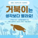 거북이수퍼