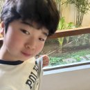 아이와 보홀 여행 마지막 날 반딧불투어 0.5박출국팩
