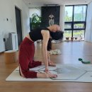 테라피하우스펜션 이미지