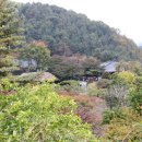 고요산책 이미지