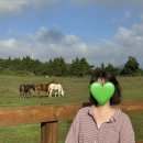 미영목장 | 제주 가볼만한곳 성이시돌목장 우유부단 포토스팟