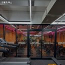 킹콩지엑스