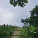 갤러리&펜션 풍경소리 이미지