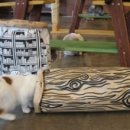 마로가든 이미지