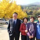 단양중학교 이미지