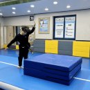김종현 태권도 네이버블로그