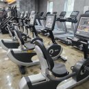 머슬컴퍼니 이미지