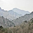 이주하 Daum카페