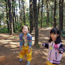 봉곡유치원 이미지