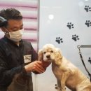 유스타 그루밍 이미지