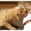 행복한강아지 이미지