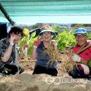 증평문화원 이미지