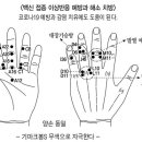 고려수지침학회 세계일보