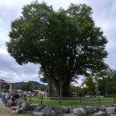 시티원부동산중개 이미지