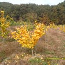 요정농장 이미지