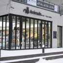 애니멀즈 강아지분양 고양이분양 대전점 이미지