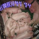 청수축산 이미지