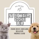 에르펫츠 강아지분양 고양이분양 다산점 이미지