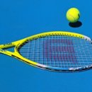 신기환 카카오 검색결과