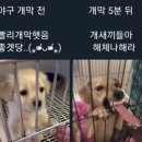 해규 | 생존신고 2탄
