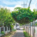 청림운동장 화장실 이미지