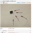 10cm 봄이 좋냐라는 노래... 이미지