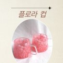 베르닷다