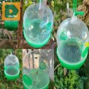 방충농장 이미지