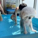 아지트(Hide out) 이미지