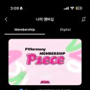 무수리된장 | 피원하모니 콘서트 후기 (DUH 서울콘)