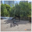 예성음악학원 이미지