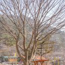 오드래산방