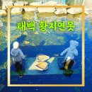 태백영프라자 이미지