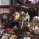 구포시장 상인회 이미지