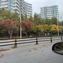 좋은솜씨성형외과의원 | 40대 하안검수술후기 눈밑지방재배치 회복기