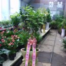 상신상사 이미지