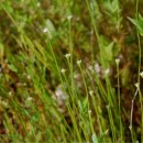 곡정초등학교 이미지