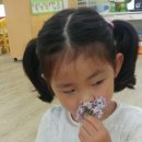 한터초등학교(병설) 이미지