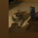 수원-0710 이미지