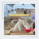 포레스트벨농장 | 용인 동물체험 용인 체험농장 동물먹이체험 용인 딸기따기체험농장