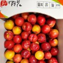 대석농장 | 농라 - 이유있는농장 D3780 대석자두 후기