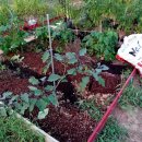 문산농약사 이미지