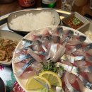 내키고 | 서면 내키고 | 전포 고등어회 맛집 내돈내산 솔직 후기