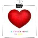 사랑이네