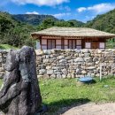 금산인삼 이미지