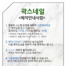 곽스네일 네이버블로그