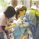 김영길농장 이미지