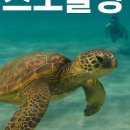 구명카써비스 이미지