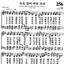 하늘보라2 이미지
