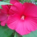 두류공원관리사무소 이미지